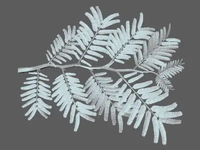 Leaf Model Low-poly 3D model