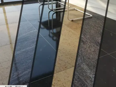 Bevers Marmyr Set Low-poly 3D model