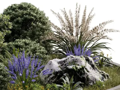 Outdoor Plant 32 3D model