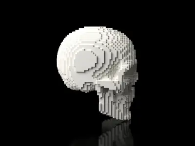 Skull Minecraft Voxel Low-poly 3D model