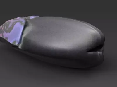 Placoderm skull with paint 3D print model