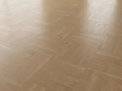Parquet Oak Natural Brushed set 4 3D model