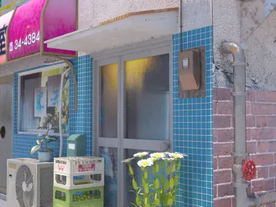  Japanese Hairdresser PBR Remastered 