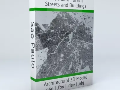 Sao Paulo Streets and Buildings 3D model