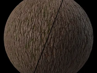 Bark  Materials 01- Seamless PBR 4k Texture