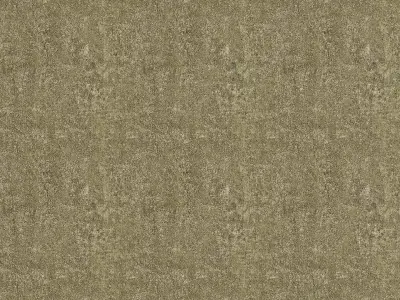 Weathered Concrete Surface Texture