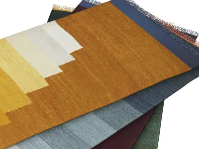 Another Rug AP2 3D model