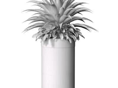 Decorative tropical Agave plant in a modern tall marble vase 3D model