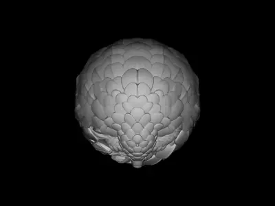 Wooden Armadillo Sphere STL 3D Print Model  3D print model