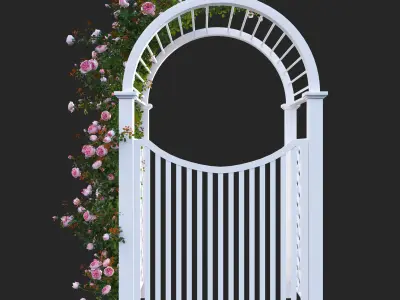 Climbing Rose - Rose Gate 3D model