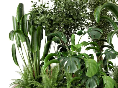 Outdoor Garden set bush and Tree - Garden Set 19 3D model