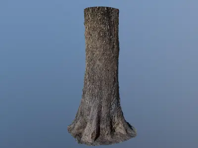 treebark04 tree trunk 3D model