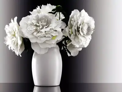 White Peonies 3D model