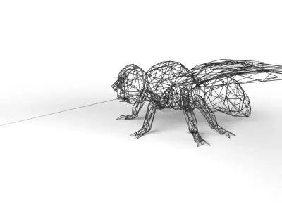 Fly Wireframe Low-poly 3D model