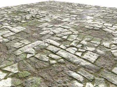 Old Mossy Floor Seamless 4 PBR Texture