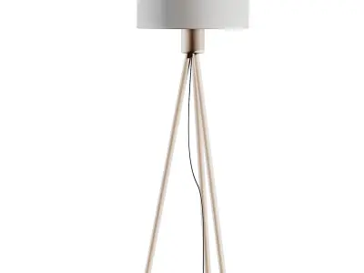 Zuiver Bamboo Fan Floor Lamp 3D model