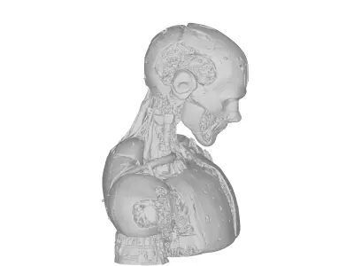 Game Ready Sci Fi Android Robot Head Cybernetic Character 3D model