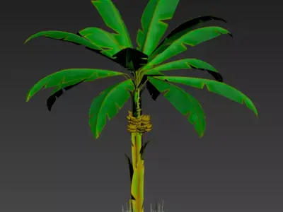 Tropical and desert vegetation - Pack of 15 Low-poly 3D model