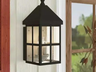 Weathersby Seeded Glass Outdoor Wall Lantern 3D model