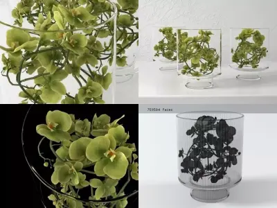 Green Orchid 3D model