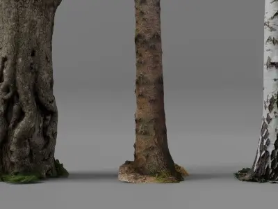 Photorealistic Different Tree Trunks Low-poly 3D model