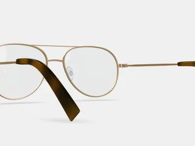 York Eyeglasses in Polished Gold 3D model