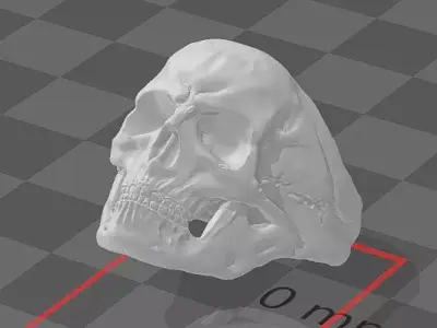 SKULL RING BASIC 3D print model