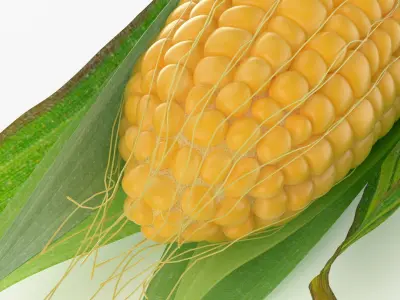  Realistic Corn 