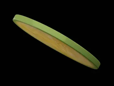 Slice of Pickle Low-poly 3D model