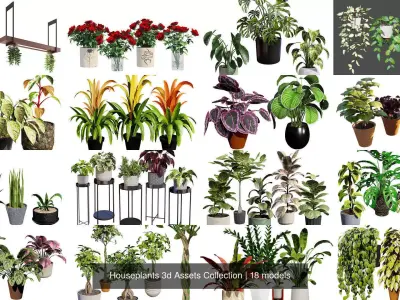 Houseplants 3d Assets Collection 3D Model Pack