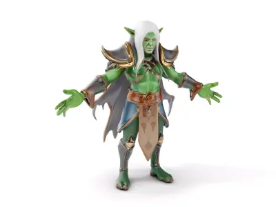 Fantasy Elven Sorcerer Character Model  Rigged and Animated Low-poly 3D model
