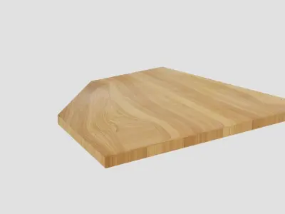 Homode Corner Shef Wall Mount 3D model