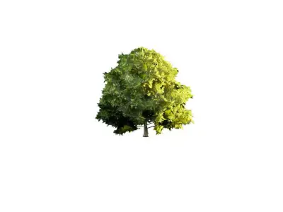 Low Poly Tree Stylish Low-poly 3D model