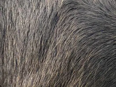 Low Poly Prison Cell Low-poly 3D model