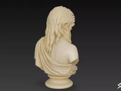 Greek God Zeus Bust Low-poly 3D model