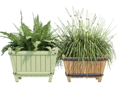 Exeter two planters with ferns and grasses 3D model