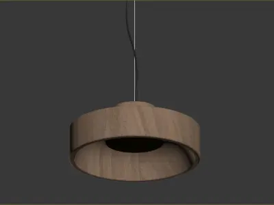 Atipico Pesi 3D model