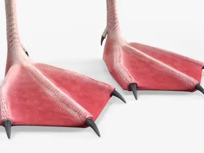  Tropical Bird Flamingo Pink 