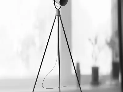 Briand Floor Lamp Black 3D model