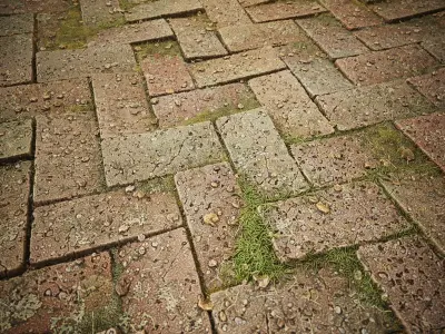Interlocking Pavements Tileable PBR Material Texture