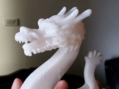 Dragon Boat 3D print model