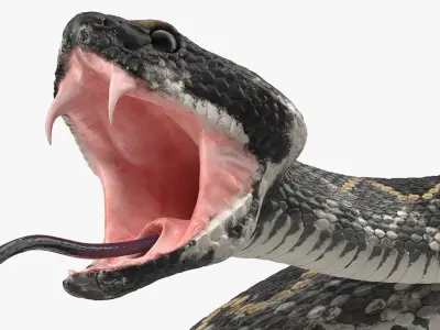  Snakes Rigged for Maya Collection 