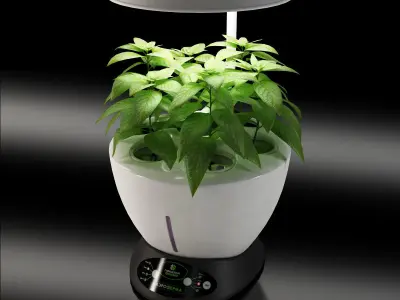 Revone Magic Garden phyto lamp Low-poly 3D model