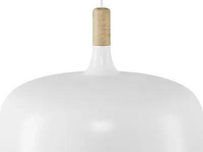 Northern Lighting Acorn Pendant Light 3D model