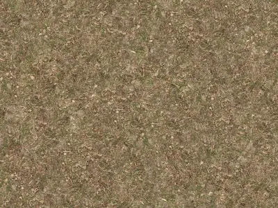 Seamless Dry Grass Ground Texture  Texture