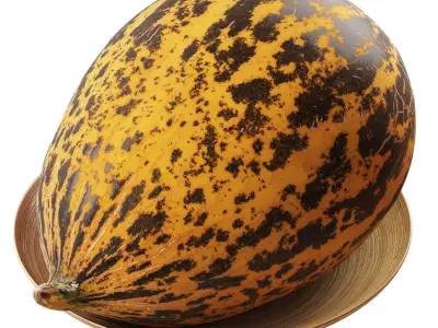 Turkish melon Kirkagach Low-poly 3D model