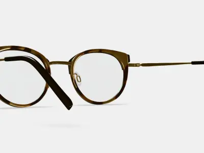 Angelise Eyeglasses in Layered Marzipan Tortoise with Polished  3D model