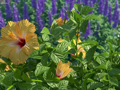  Flowers Collection 12 