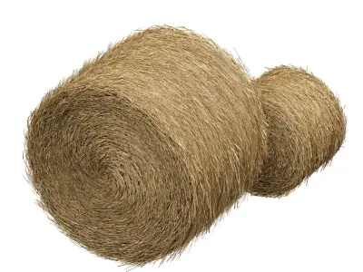 Hay in rolls Straw in rolls 3D model