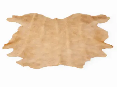 Beige Cow Hide Rug 3D model